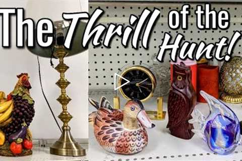 The Thrill of the Hunt-Goodwill Thrift Shopping with Me+My Unique Score!-Thrifting in 2022