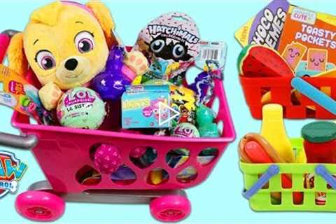 PAW PATROL Pup Baby Skye Goes Shopping for Groceries!