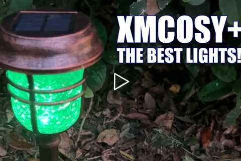 XMCOSY+ Outdoor String Lights & Solar Pathway Lights