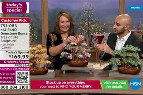 HSN | Designer Gallery with Colleen Lopez Jewelry Gifts 11.29.2022 - 04 AM