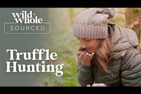 Truffle Hunting | Wild + Whole Sourced