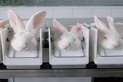 Estee Lauder Is Still Cruelty-Free