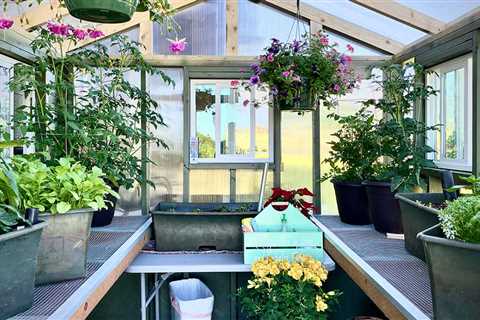 The Beautiful Greenhouse