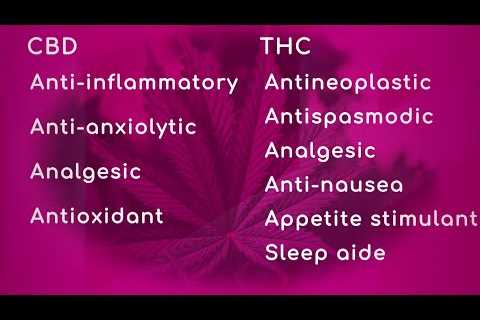 Benefits of CBD & THC