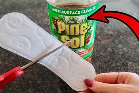 Put $1 Pine Sol on your Panty Liner 💥 Miracle & Ingenious Trick! (WATCH THIS)