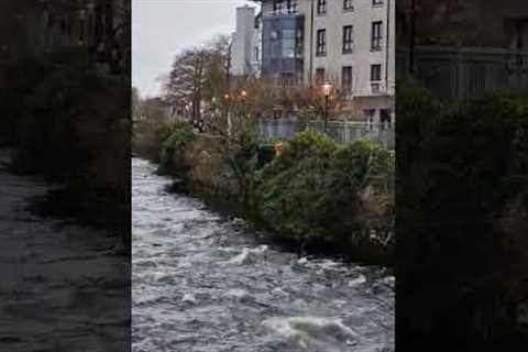 River Corrib : Galway #ireland #irish #Galway