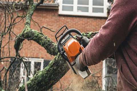 What Types of Insurance Coverage Should I Have for My Tree Service Equipment?