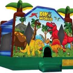 Bounce Houses R Us Offers Premier Chicago Bounce House Rentals for Unforgettable Events