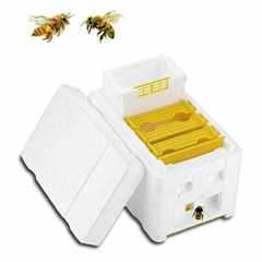 Tokenhigh Bee Hive Box: Beekeeping Equipment for Queen Breeding