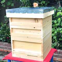 European-Made Beehive Set with Cedar Wood