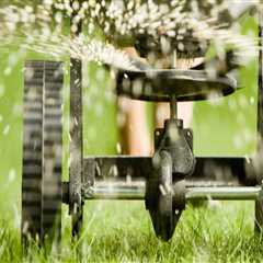 The Importance of Properly Applying Lawn Care Products