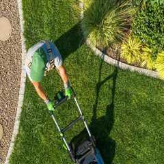 The Average Cost of Popular Lawn Care Products