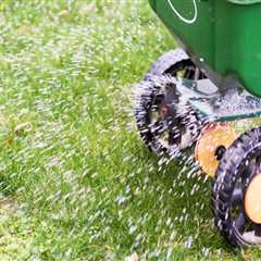 The Ultimate Guide to Applying Liquid Lawn Care Products