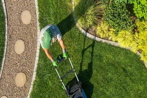 The Average Cost of Popular Lawn Care Products