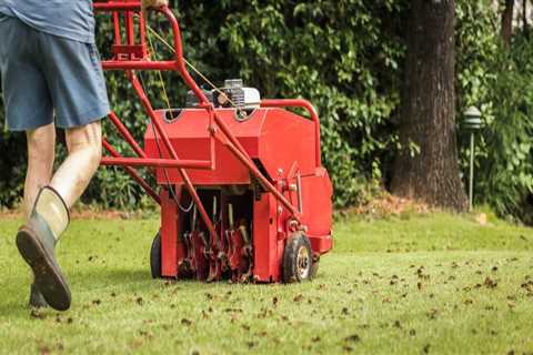 The Best Time of Year to Use <b>Lawn Care Products</b>
