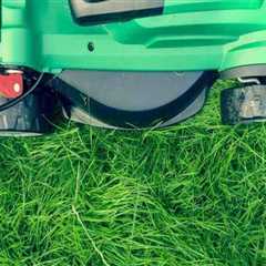 Lawn Mowing Essentials In Northern VA: Using Arborist Tools For Perfect Cuts