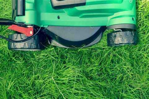 Lawn Mowing Essentials In Northern VA: Using Arborist Tools For Perfect Cuts