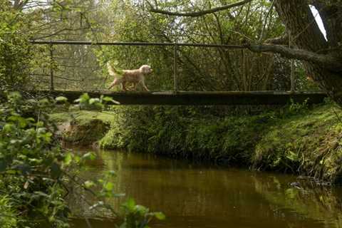 Our beautiful village is about to lose a century-old bridge - and nobody with power gives a damn