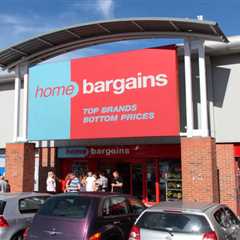 Panic-Buying Potted Plants? Home Bargains Stays Open for May Bank Holiday 2025