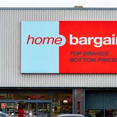 People going bonkers over £12.99 garden pool at Home Bargains – grab one before they're gone!