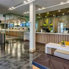 The Diverse World of Cannabis Products in Maricopa County, Arizona
