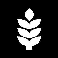 Offerle Cooperative Grain & Supply Company - Homepage