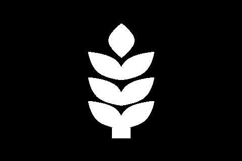 Offerle Cooperative Grain & Supply Company - Homepage