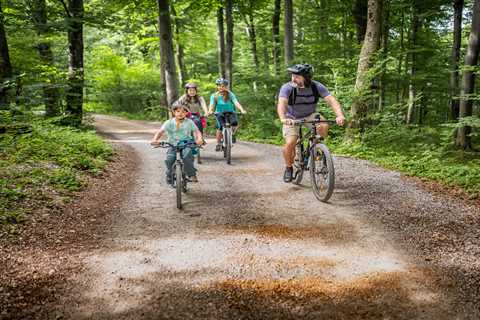 My Summer Survival Guide: Forest Adventures That Won't Bankrupt You