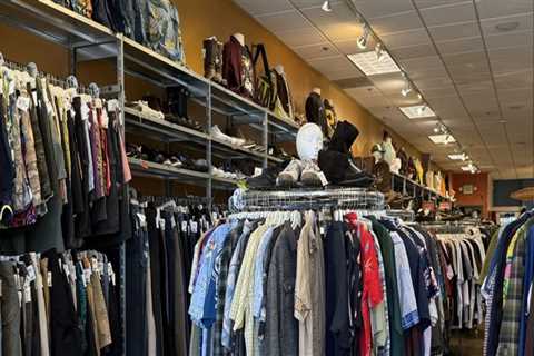 The Need for Inclusivity in Fashion: A Plus-Size Perspective on King County, Washington