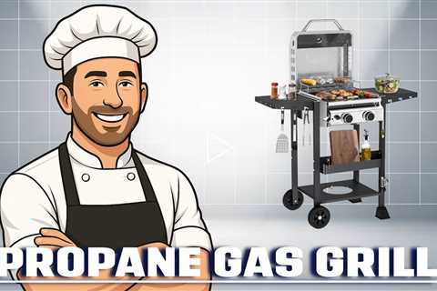 R.W.FLAME G20B Propane Gas Grill with 2 Burner, 16,000 BTU, Stainless Steel Outdoor BBQ Grill pd