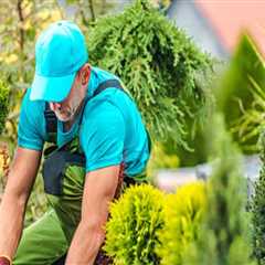 Enhance Your Landscaping with Modern Tree Service Equipment