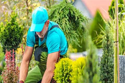 Enhance Your Landscaping with Modern Tree Service Equipment