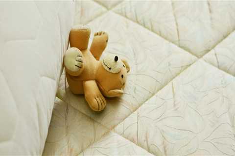 Discover Modern Chair Design Trends in Lakewood Ranch