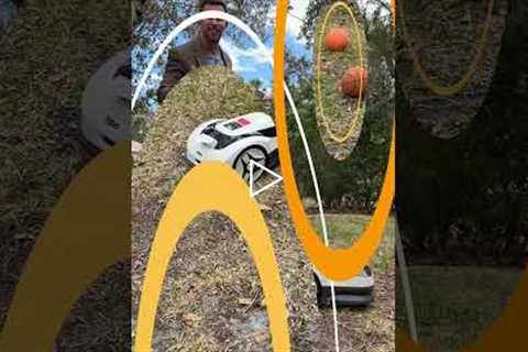 RoboUP Raccoon 2 SE - The Ideal Robot Mower for Small Lawns - Under $600