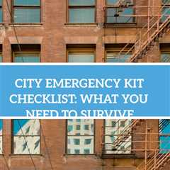 Dive into the world of city emergency preparedness with When the City Stops Working by David..