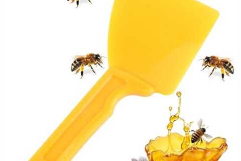 Heavy-Duty Honey Extractor Scraper Tool