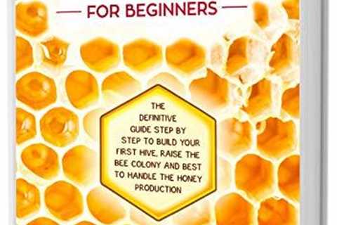 Beekeeping Basics: Your Guide to Starting Hives