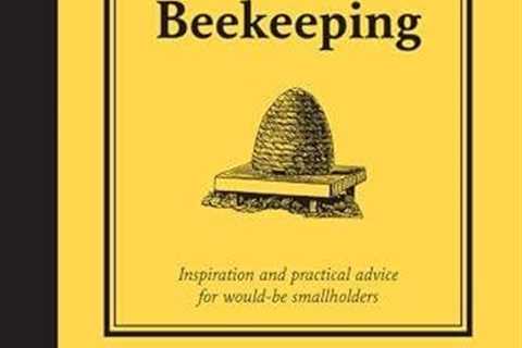 Practical Beekeeping Guide for Urban and Garden Hives